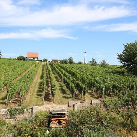 La Belle Alsacienne - Route Des Vins D'Alsace Hotel Hattstatt ภายนอก รูปภาพ
