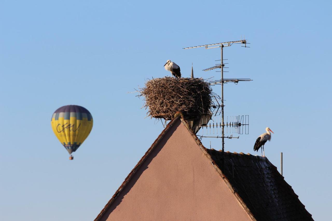 La Belle Alsacienne - Route Des Vins D'Alsace Hotel Hattstatt ห้อง รูปภาพ
