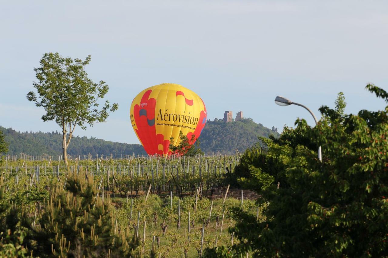 La Belle Alsacienne - Route Des Vins D'Alsace Hotel Hattstatt ห้อง รูปภาพ