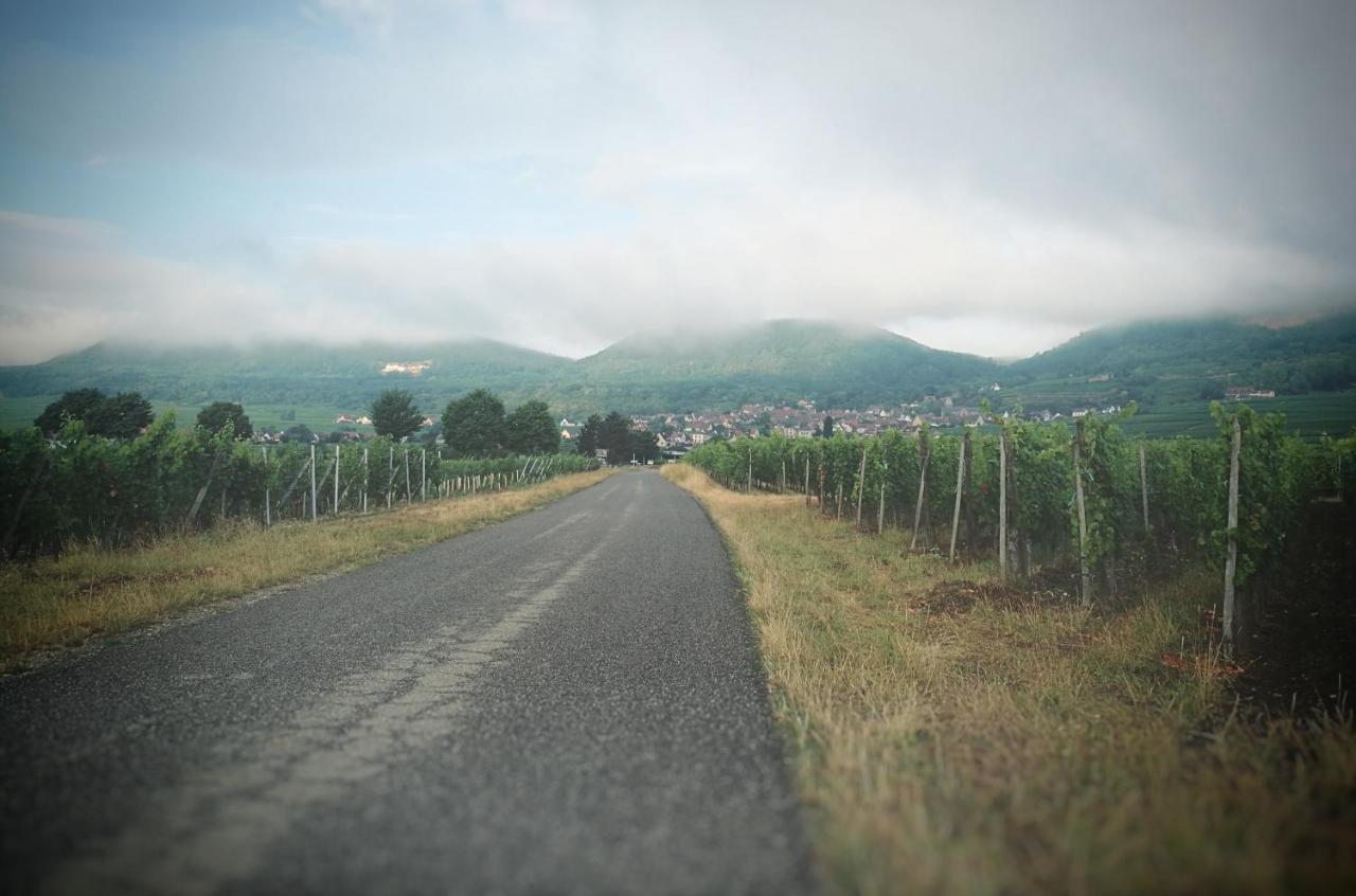 La Belle Alsacienne - Route Des Vins D'Alsace Hotel Hattstatt ภายนอก รูปภาพ