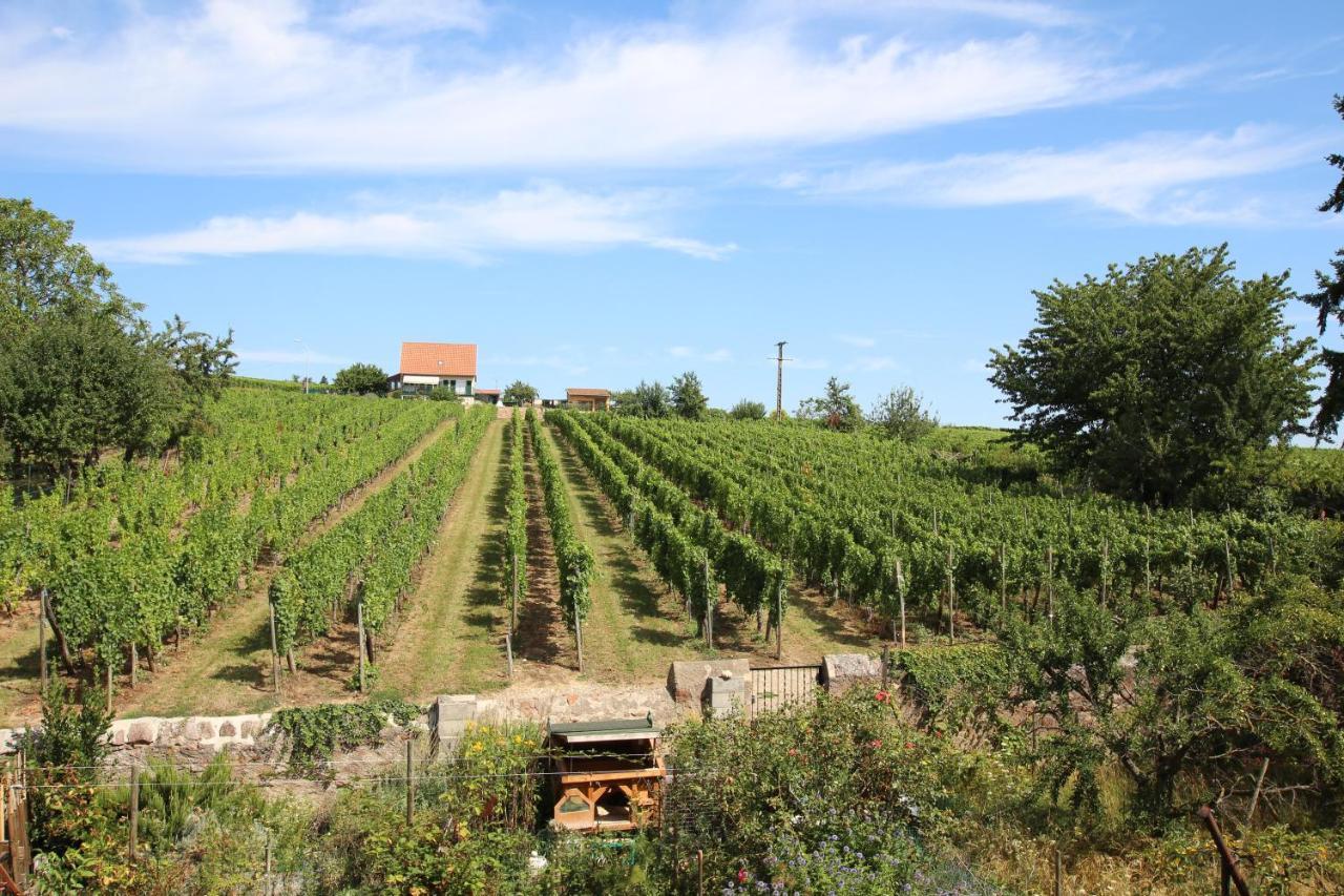 La Belle Alsacienne - Route Des Vins D'Alsace Hotel Hattstatt ภายนอก รูปภาพ